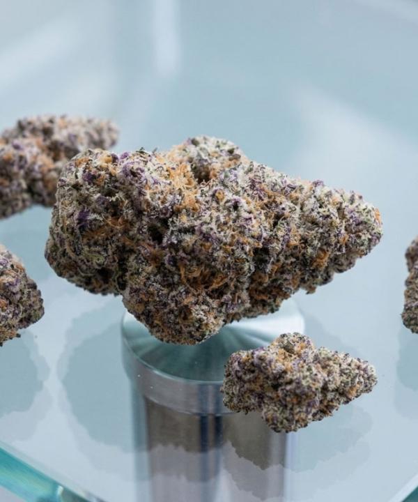 Premium Glitter Bomb THCA flower nugs with purple and orange hairs 
