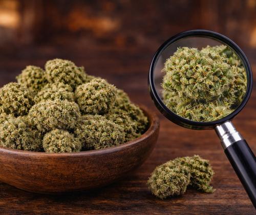 Premium hemp flower available at Green Leaf Botanicals 919 in Raleigh NC